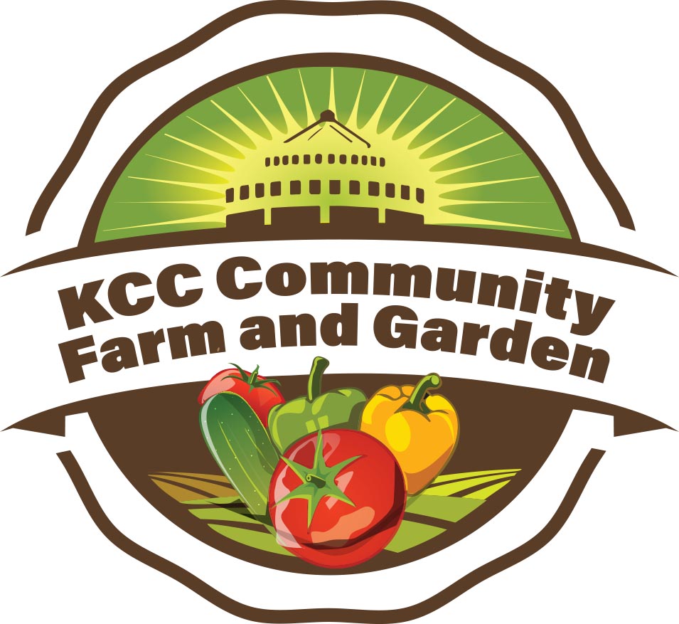 KCC Urban Farm